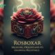 Rosboxar